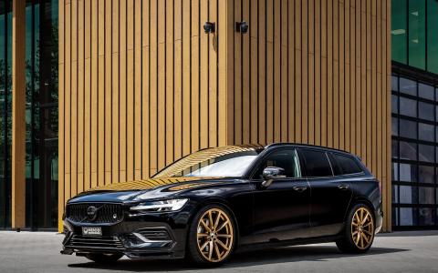 HEICO SPORTIV V60 - VOLUTION X. 20" Gold bronze, matt (1)